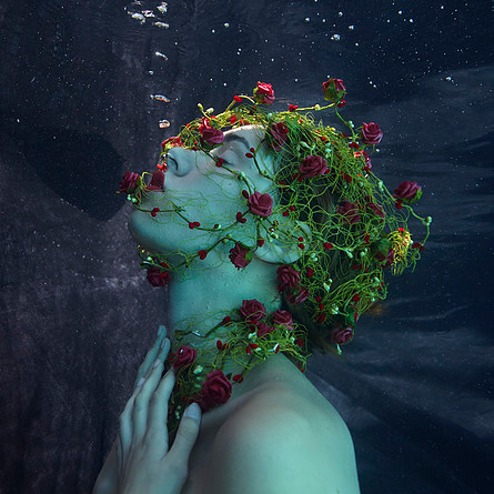 Sacrifice, , Begegnung mit der Unterwasserfotografin Gaby Fey