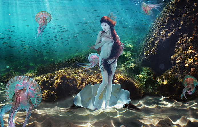 Venus, , Begegnung mit der Unterwasserfotografin Gaby Fey