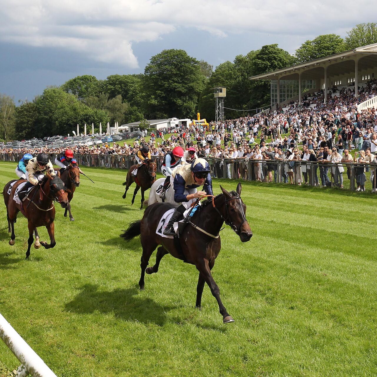 Darnation siegt unter Adrie de Vries in den WEMPE 104. German 1.000 Guineas Gr.2 uai, , Englische Favoritin Darnation gewinnt