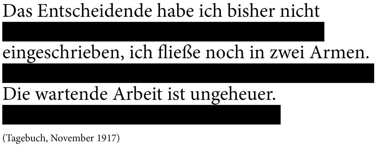 kafka tagebuch zitat, , Screenshot